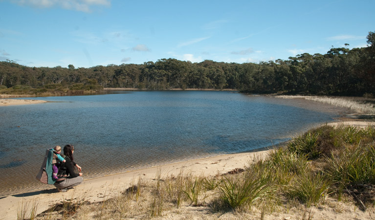 Lagoon shore, Conjola National Park. Photo &copy; Michael Jarman