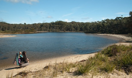 Lagoon shore, Conjola National Park. Photo &copy; Michael Jarman