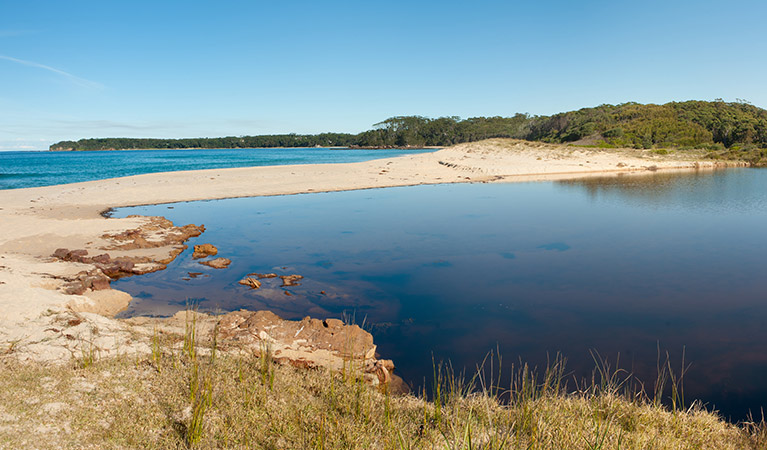 Nerrindillah Lagoon Conjola National Park. Photo: Michael Van Ewijk &copy; DPIE