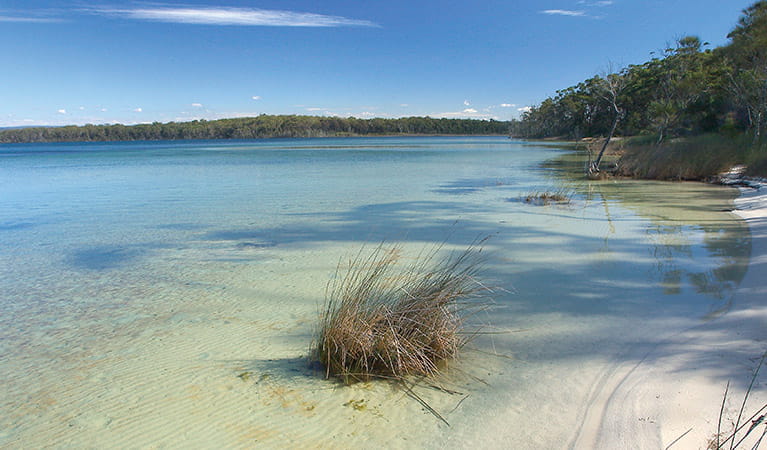 Clear water at Swan Lake, Conjola National Park. Photo: Michael Van Ewijk &copy; DPIE 