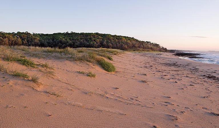 Monument Beach coastline at sunrise, Conjola National Park. Photo: Michael Van Ewijk &copy; DPIE