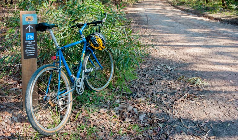 Walter Hood ride from Cudmirrah, Conjola National Park. Photo: Michael van Ewijk