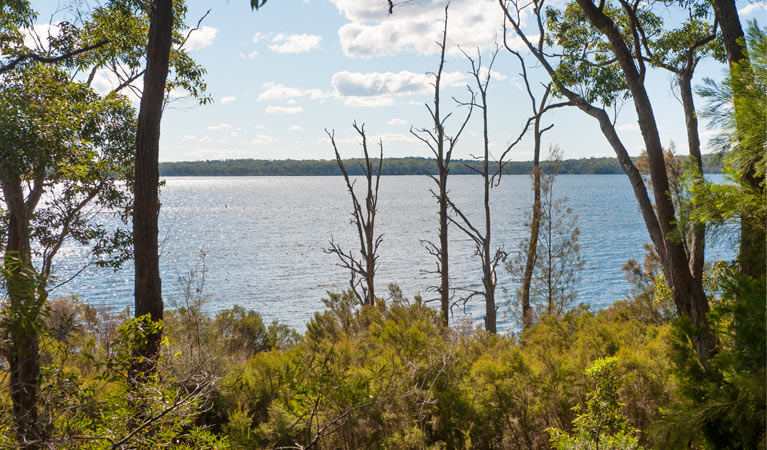 Walter Hood ride from Cudmirrah, Conjola National Park. Photo: Michael van Ewijk.