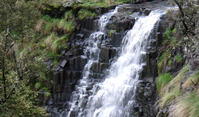 Water from Bald Hill Creek cascading down rocky shelves, set in bushland. Photo: Michael Sharp/DPIE