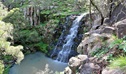 View over to Bald Hills waterfall, which tumbles over basalt rock formations, Coolah Tops National Park. Photo: Nicola Brookhouse &copy; DPIE