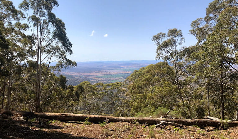The view of Liverpool and Breeza plains from Breeza lookout in Coolah Tops National Park. Photo: Kristy Sawtell &copy; DPIE
