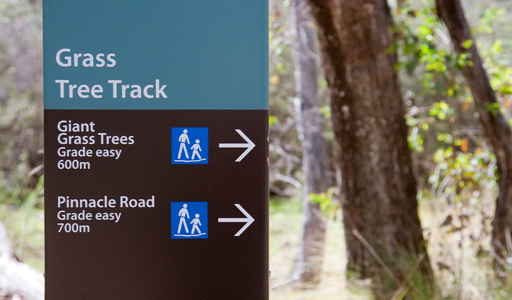 Park sign at the start of Grass Tree walking track in Coolah Tops National Park. Photo credit: Nick Cubbin &copy; DPIE