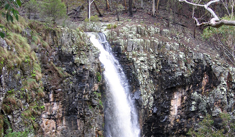 Norfolk Island Creek cascades down a rocky cliff at Norfolk Falls lookout. Photo: Michael Sharp &copy; Michael Sharp