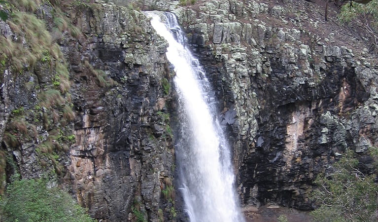 A white veil of water plunges over a cliff at Norfolk Falls. Photo: Michael Sharp/DPIE