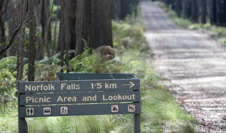 Norfolk Falls sign on an unpaved road through iron bark and snow gum tree forest.  Photo: Nick Cubbin/DPIE