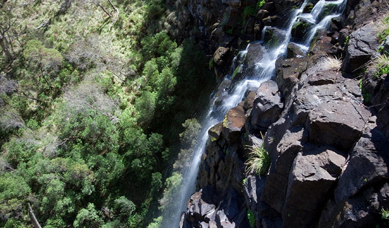 At Norfolk Falls, water cascades over a steep rocky cliff set in bushland.  Photo: Nick Cubbin/DPIE