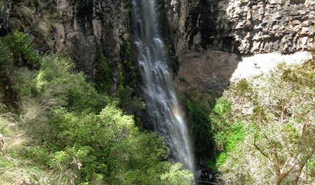 Norfolk Island Creek cascades down a rocky cliff in a bushland setting at Norfolk Falls. Photo: Michael Sharp &copy; DPIE