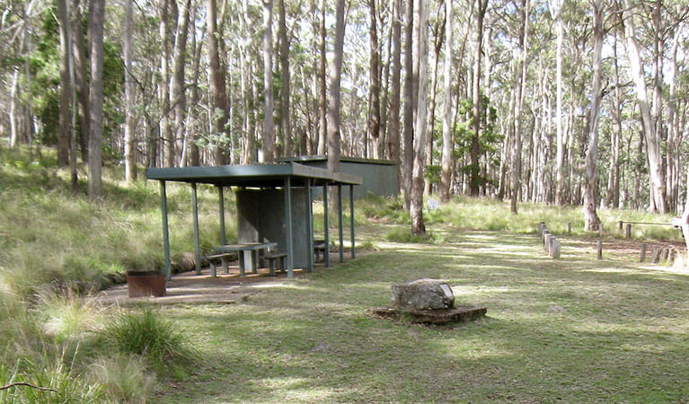 Grassy picnic area with covered picnic tables and parking in an open forest setting. Photo: Leah Pippos &copy; DPIE