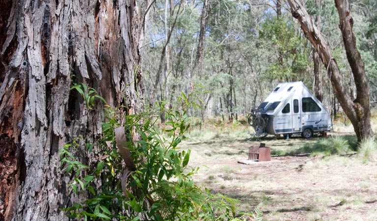 The Barracks campground, Coolah Tops National Park. Photo: Nick Cubbin/NSW Government