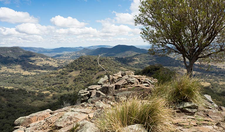 Vista from rock ledge past a small tree to the vast Warrumbungles landscape under a partially cloudy sky. Photo: Leah Pippos/DPIE