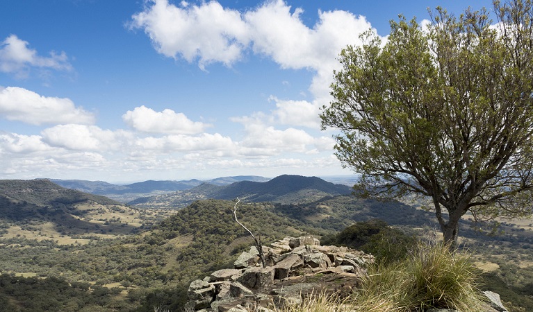 Views across the Warrumbungle Range from Pinnacle lookout, Coolah Tops National Park, near Coolah. Photo: Leah Pippos &copy; DPIE