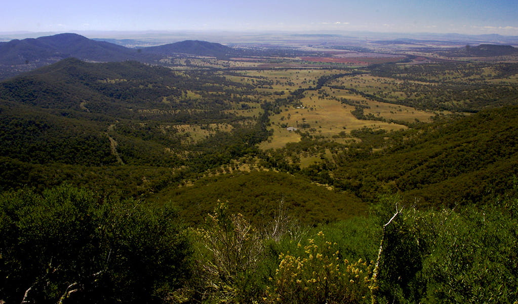 Panoramic view of forest-clad slopes, valleys and distant ridges. Photo &copy; Barry Collier