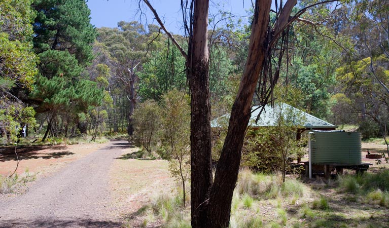 The Barracks campground, Coolah Tops National Park. Photo: Nick Cubbin/NSW Government