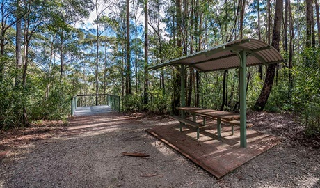 Big Nellie lookout and picnic area, Coorabakh National Park. Photo: John Spencer