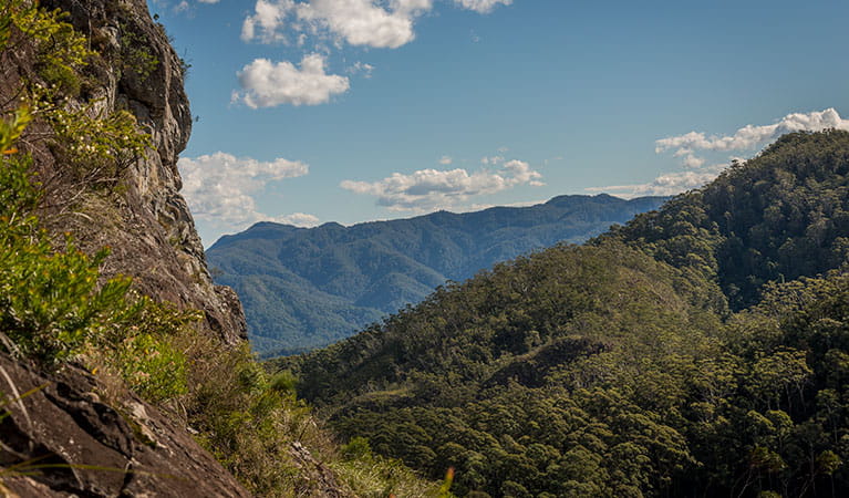 Big Nellie lookout and picnic area, Coorabakh National Park. Photo: John Spencer