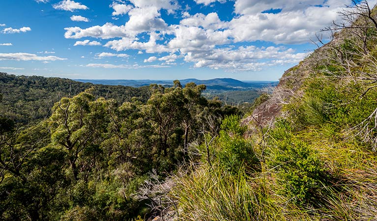 Big Nellie lookout and picnic area, Coorabakh National Park. Photo: John Spencer