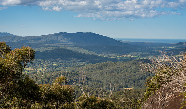 Big Nellie lookout and picnic area, Coorabakh National Park. Photo: John Spencer