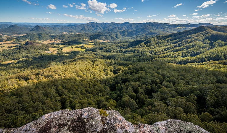 Flat Rock lookout, Coorabakh National Park. Photo: John Spencer