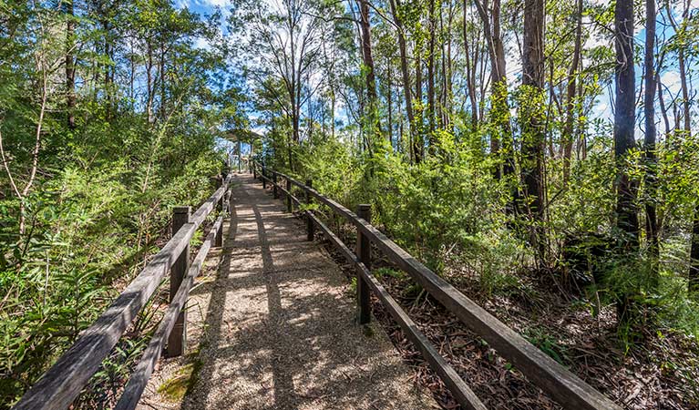 Flat Rock lookout, Coorabakh National Park. Photo: John Spencer