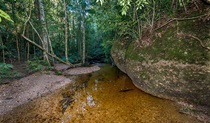 Newbys Creek walk and cave, Coorabakh National Park. Photo: John Spencer &copy; OEH