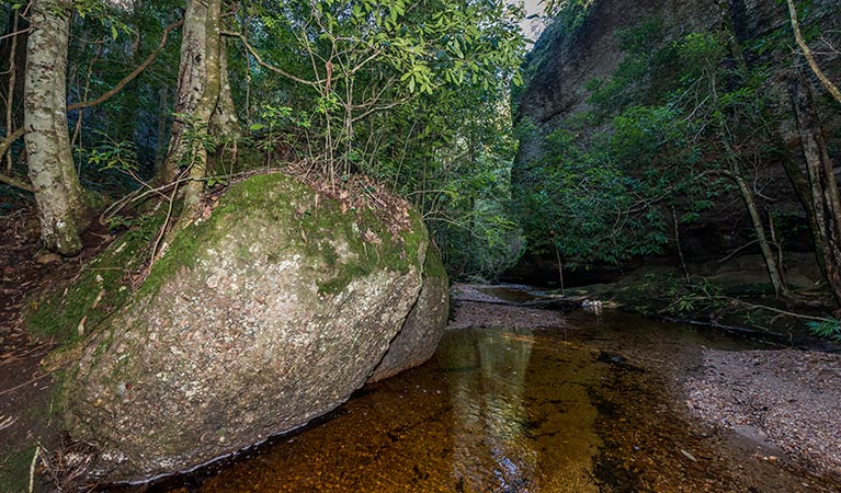 Newbys Creek walk and cave, Coorabakh National Park. Photo: John Spencer &copy; OEH