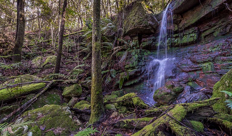 Coorabakh National Park. Photo: John Spencer/OEH