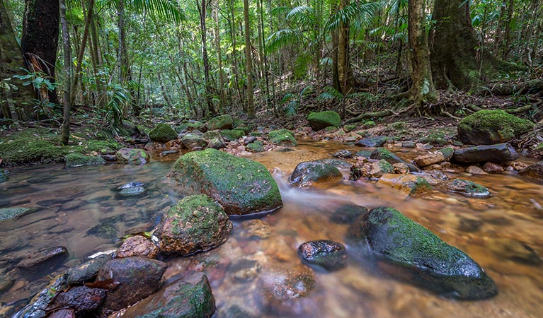 Coorabakh National Park. Photo: John Spencer/OEH