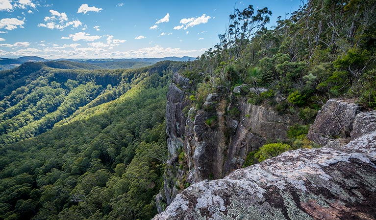 Coorabakh National Park. Photo: John Spencer/OEH