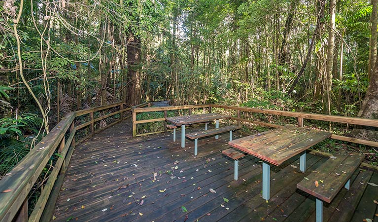 Starrs Creek picnic area, Coorabakh National Park. Photo: John Spencer