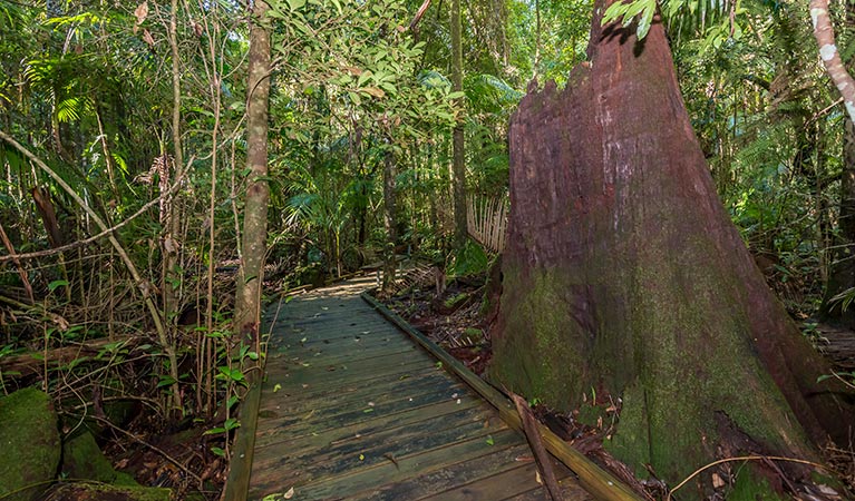 Starrs Creek picnic area, Coorabakh National Park. Photo: John Spencer