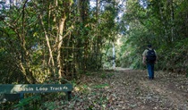 Basin Loop walking track, Copeland Tops State Conservation Area. Photo: John Spencer &copy; OEH