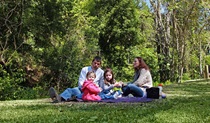 Hidden Treasures picnic area, Copeland Tops State Conservation Area. Photo: Brent Mail