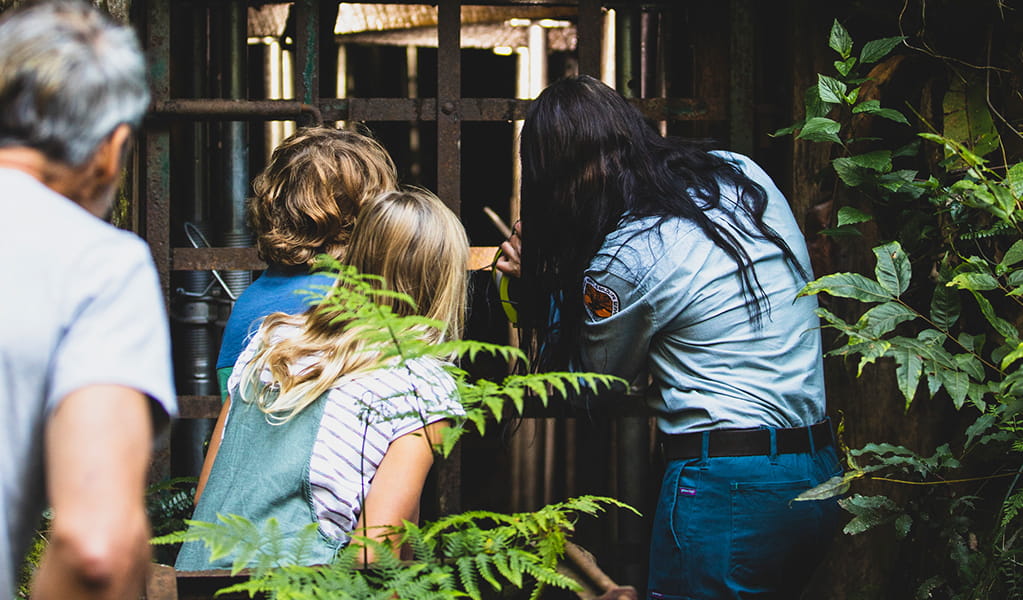 Family enjoying a tour of Mountain Maid gold mine surrounded by ferns and looking through a grate with a ranger. Photo credit: Destination NSW &copy; Destination NSW