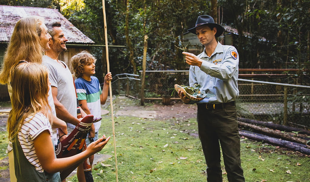 A family of four on a cultural tour with a ranger the rainforest at Copeland Tops. Photo credit: Destination NSW &copy; Destination NSW
