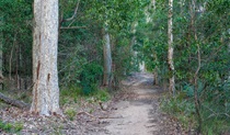 Delta Track, Corramy Regional Park. Photo: Michael van Ewijk &copy; OEH