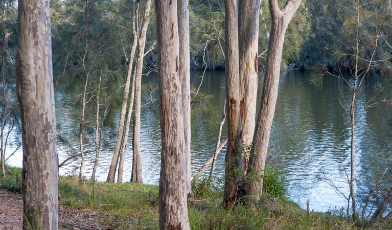 Delta Track, Corramy Regional Park. Photo: Michael van Ewijk &copy; OEH