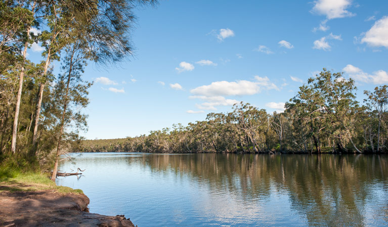 Wandandian Creek in Corramy Regional Park. Photo: Michael van Ewijk &copy; DPIE