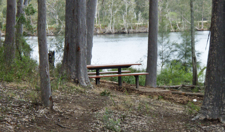 Wandandian Creek picnic area, Corramy Regional Park. Photo: D Duffy