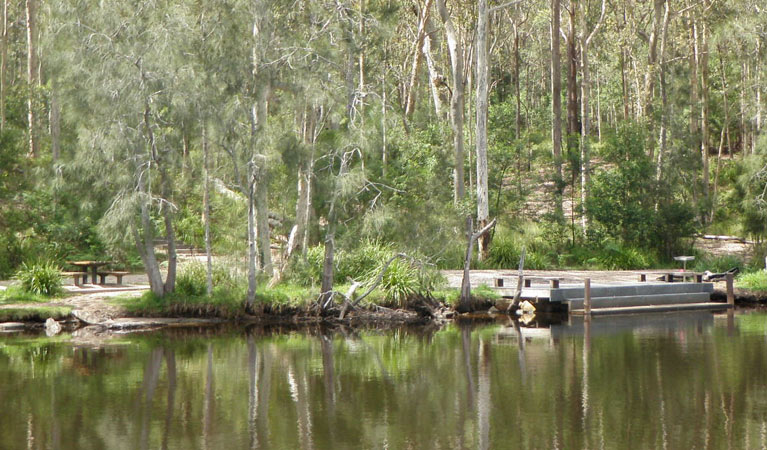 Wandandian Creek picnic area, Corramy Regional Park. Photo: D Duffy