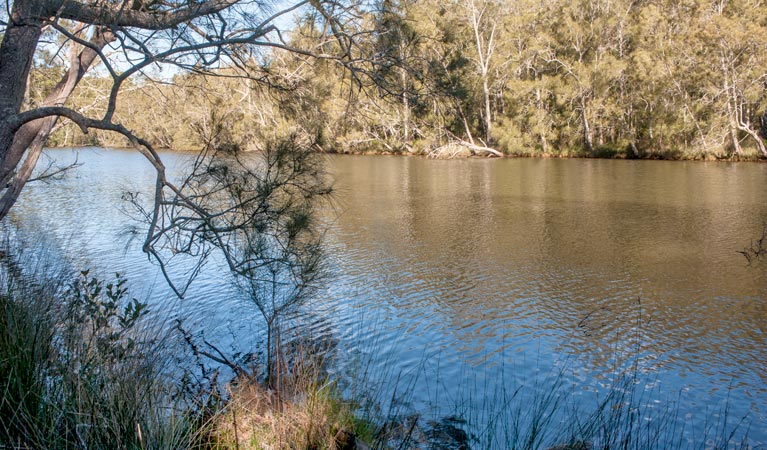 Wandandian Creek picnic area, Corramy Regional Park. Photo: Michael van Ewijk &copy; OEH