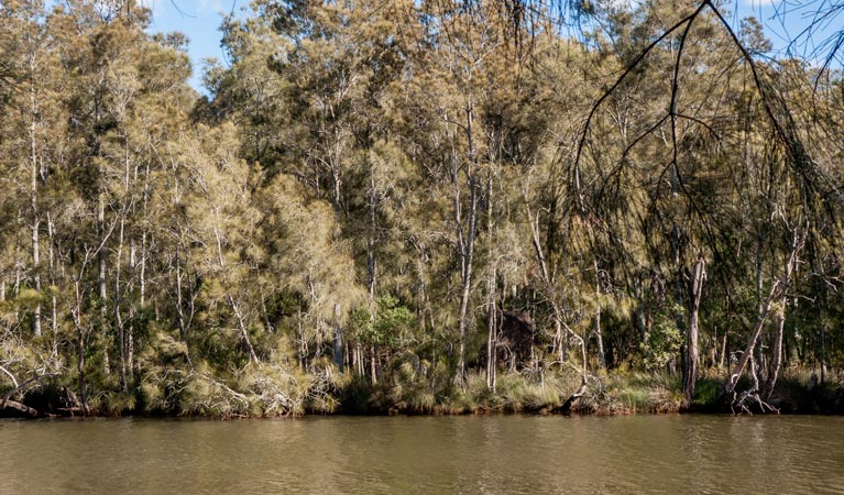 Wanlandian Creek, Corramy Regional Park. Photo: Michael van Ewijk &copy; OEH