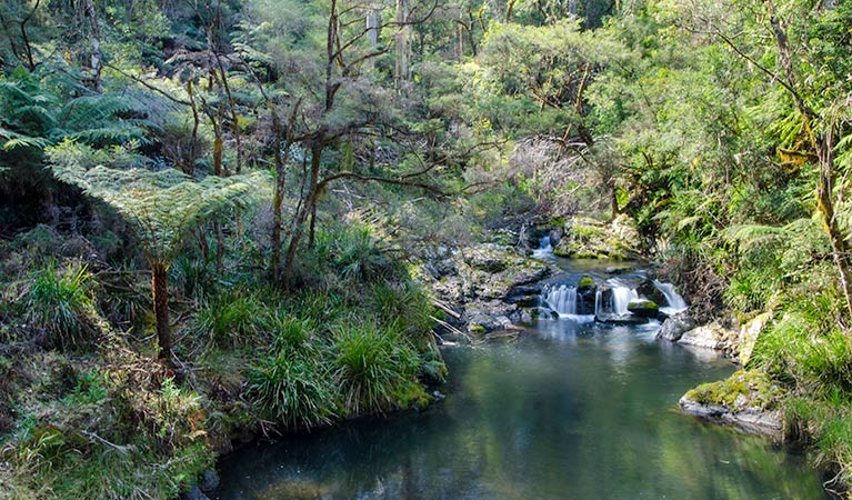 Cottan-Bimbang National Park, waterfall. Photo: John Spencer/OEH