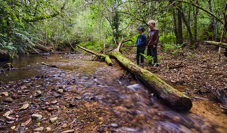 Maxwells Flat campground, Cottan-Bimbang National Park. Photo: John Spencer/OEH