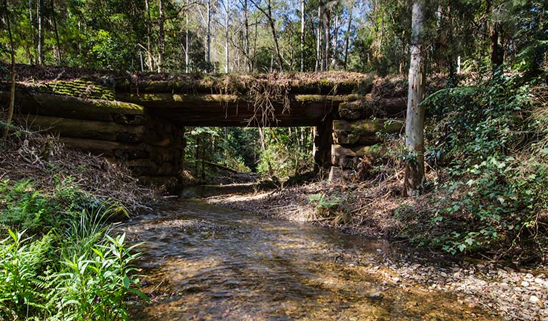 Myrtle Scrub scenic drive, Cottan-Bimbang National Park. Photo: John Spencer/OEH