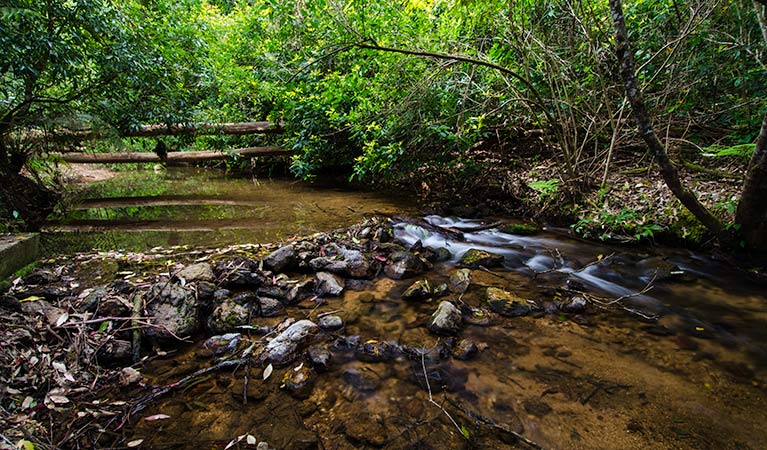 Maxwells Flat campground, Cottan-Bimbang National Park. Photo: John Spencer/OEH